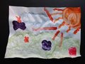 DSC00740