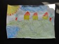 DSC00753