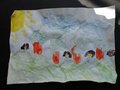 DSC00756