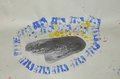 Infanzia Arena Metato4