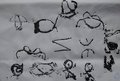 Primaria Gereschi46