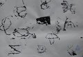 Primaria Gereschi49
