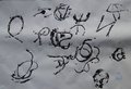 Primaria Gereschi40