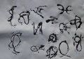 Primaria Gereschi37