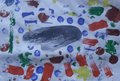Primaria Baracca16