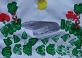 Primaria Calci95