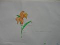 DSC04506