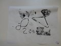 DSC08570