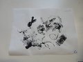 DSC08554