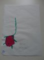 DSC08888