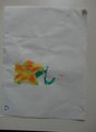 DSC08877