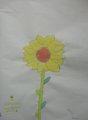 DSC08953