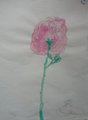 DSC08956