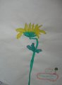 DSC08957
