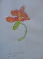 DSC09130