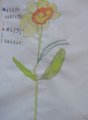 DSC09138