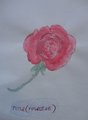 DSC09131