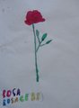 DSC09134