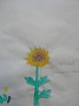 DSC09264_risultato