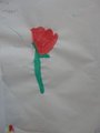 DSC09267_risultato