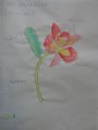 DSC09268_risultato