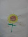 DSC09259_risultato