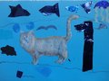 DSC09438_risultato
