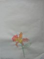 DSC09516