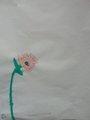 DSC09505