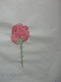 DSC09515