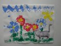 DSC09641