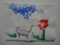 DSC09656