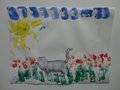 DSC09785