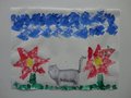 DSC09778