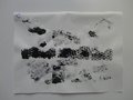 DSC09871