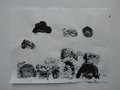 DSC09875