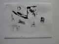 DSC09867