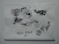 DSC09877