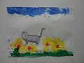 DSC09915