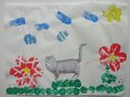 DSC00043