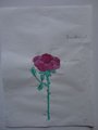 DSC00157