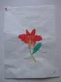 DSC00152