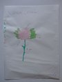 DSC00164