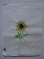 DSC00173