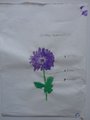 DSC00190