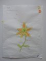 DSC00191