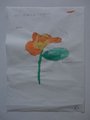 DSC00194