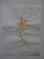 DSC00197