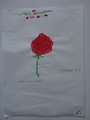 DSC00187