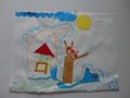 DSC00213